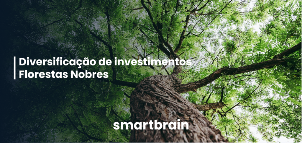 Diversificação de investimentos -  Florestas Nobres