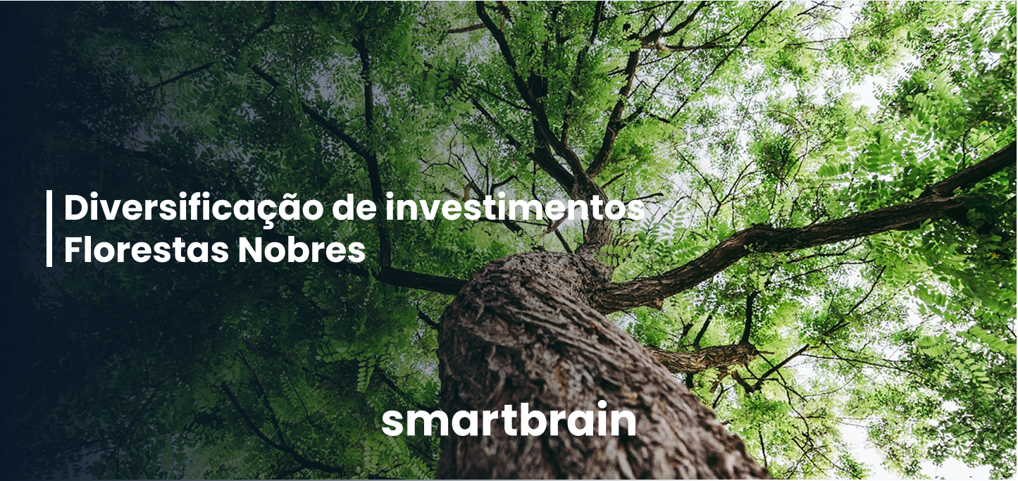Diversificação de investimentos -  Florestas Nobres